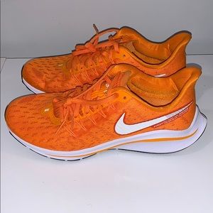 Never Worn Nike Pegasus